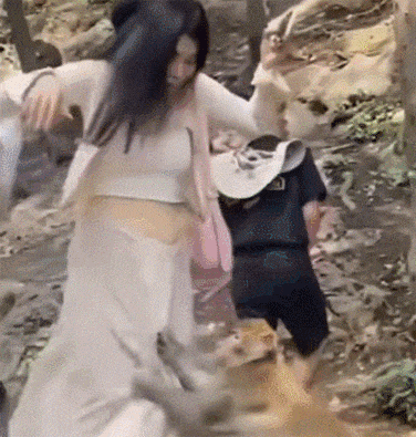 有点“耍流氓”的泼猴，抓住女人裙子抢东西