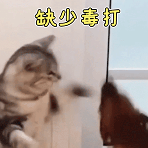 我认为你真的是缺少一顿毒打