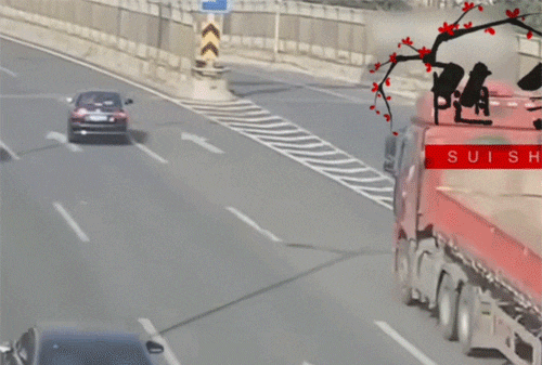 小车错过路口强行变道引发事故，大货车刹不住撞倒路牌