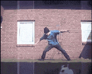 练习街舞的时候不小心踢飞猫咪