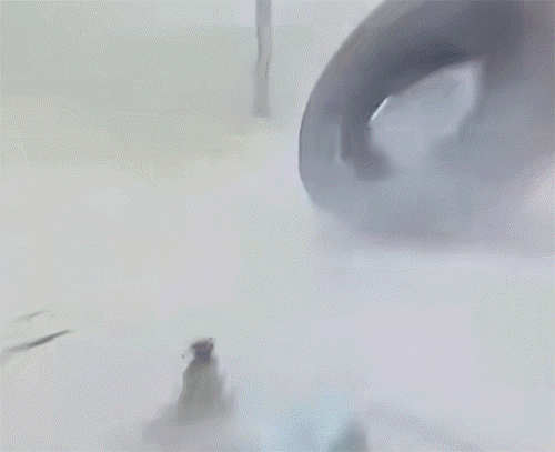 健身房跳高的猛男，没跳过去摔得真疼