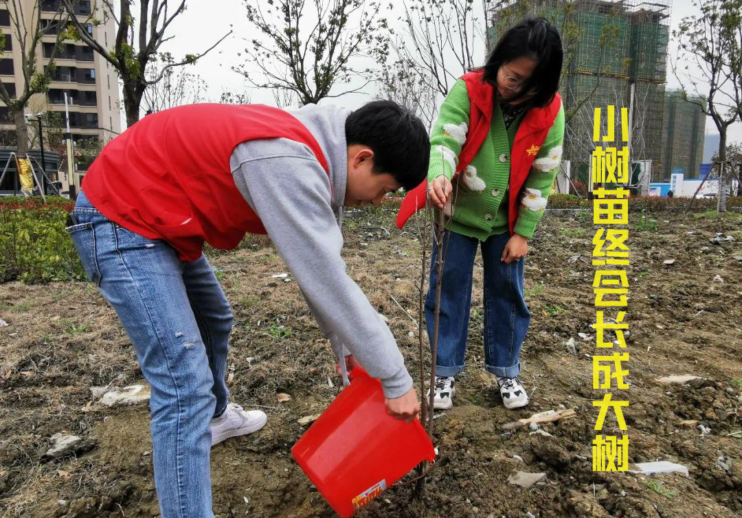 小树苗终会长成参天大树