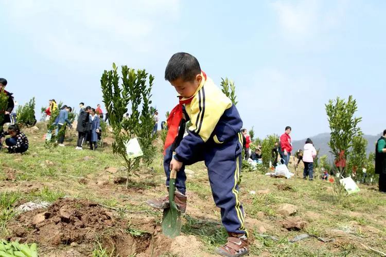 从小培养孩子们的造林护林兴趣